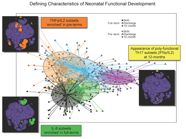 Illustration defining characteristics of neonatal functional development