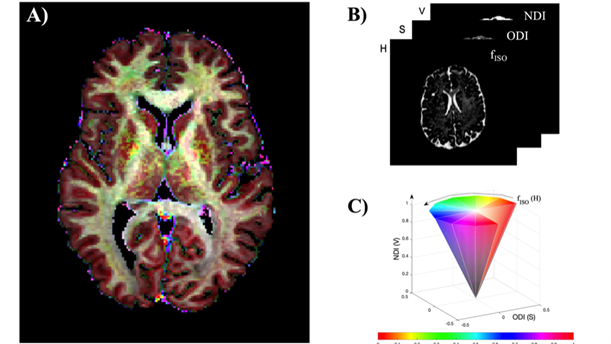 Uddin Project 3 - Fig2