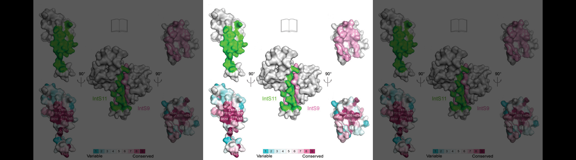 Wagner Lab Research 3