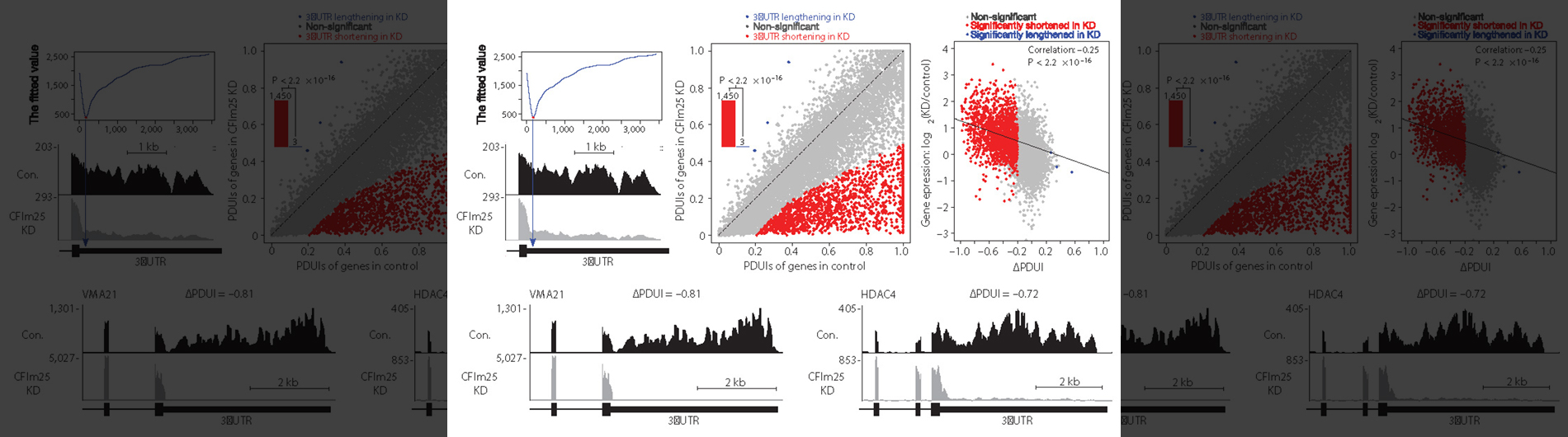 Wagner Lab Research 4