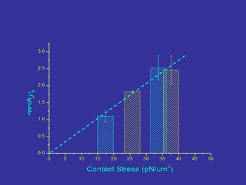 Contact stress effects on bond formation