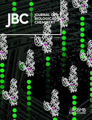 JBC2020 Cover