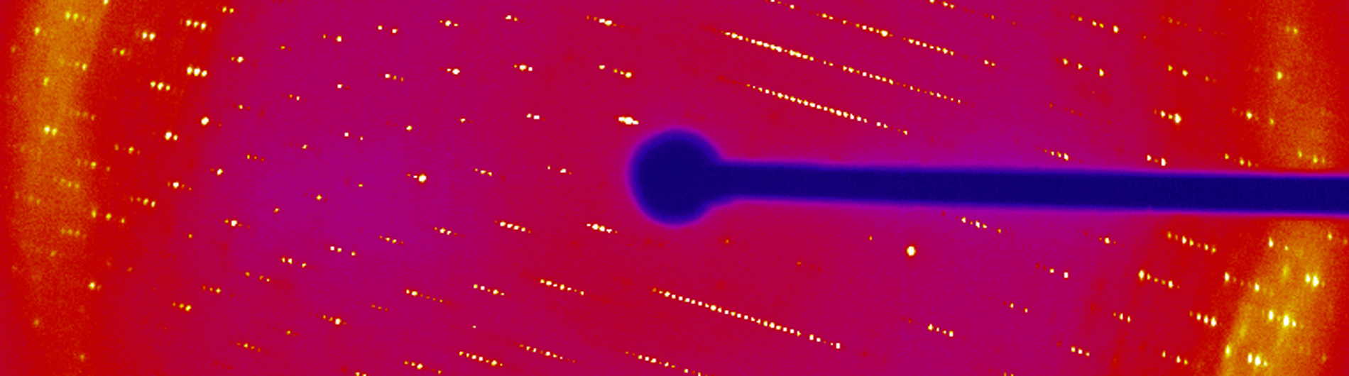 wedekind research image 4