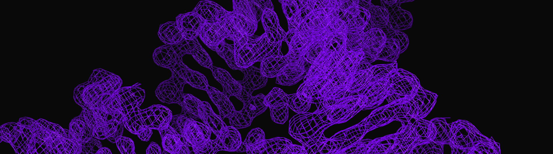 wedekind research image 5