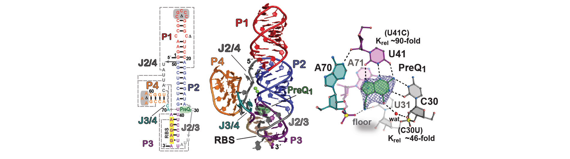 wedekind research image 7