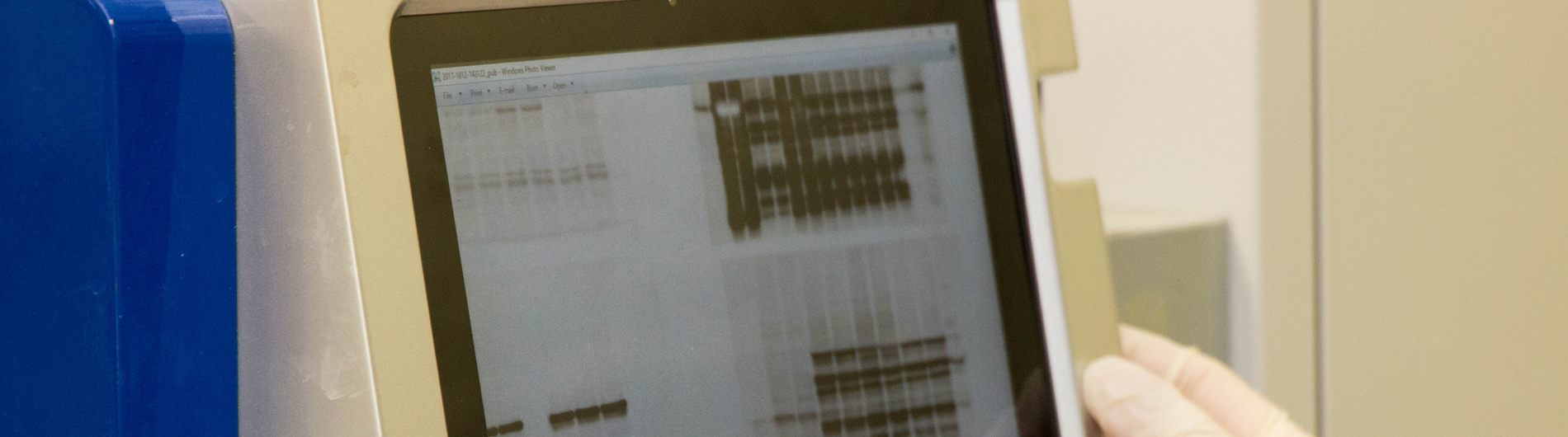 Xia Research image 4