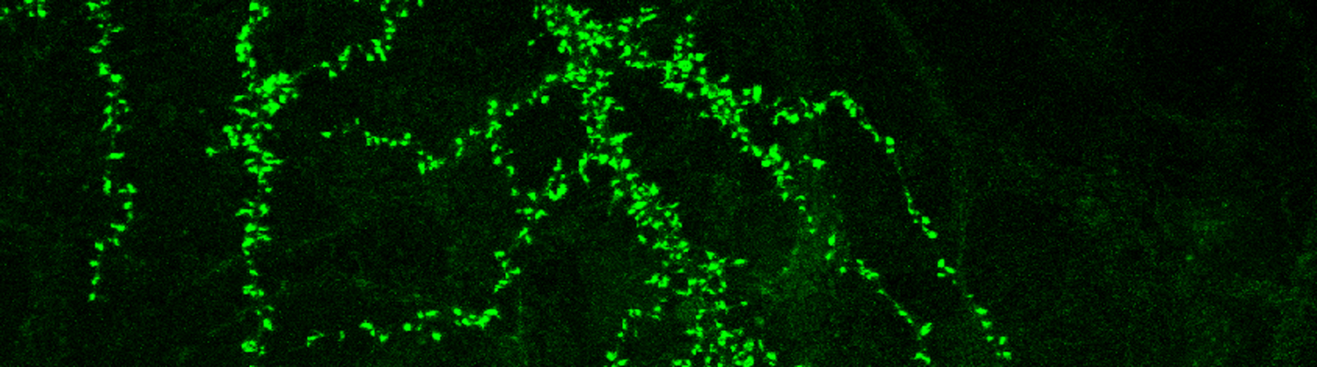 Xia Research image 5