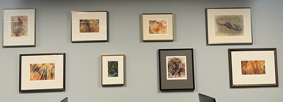 Laura Ferguson gallery