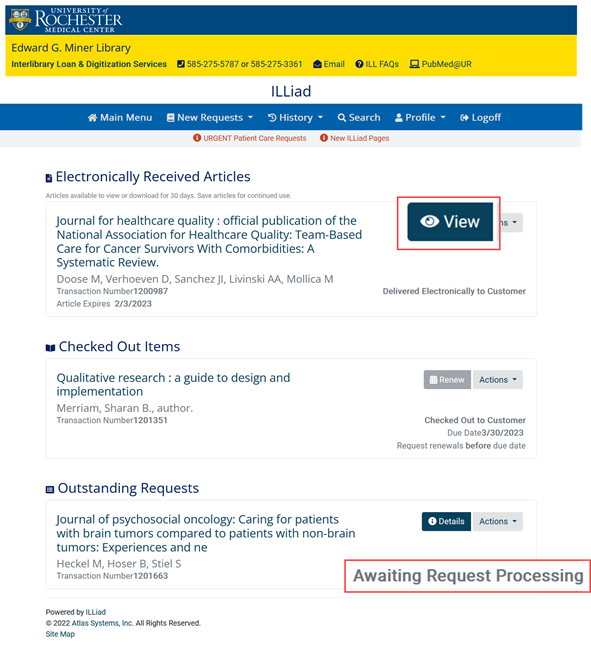 depicting lication of view button and Awautubg Request Processing response