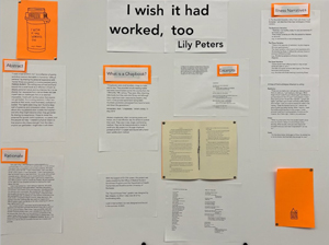 Lily Peters, Class of 2026, Summer Research Project
