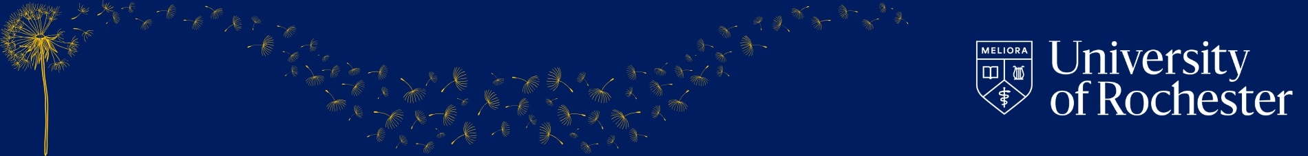 Banner image with department logo and UR logo