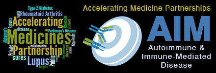 Accelerating Medicine Partnerships Autoimmune & Immune-Mediated Disease Program