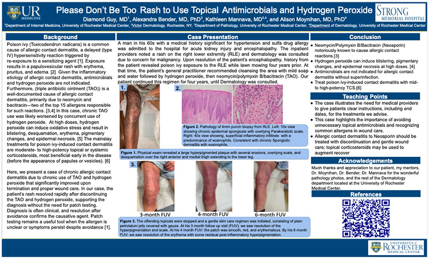 Screen capture of Dr. Guy's poster