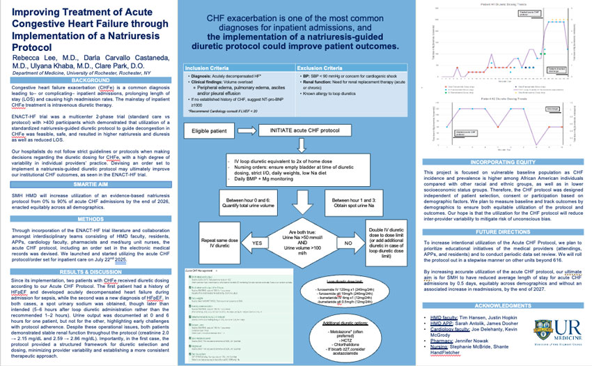 Screen capture of Dr. Lee's poster