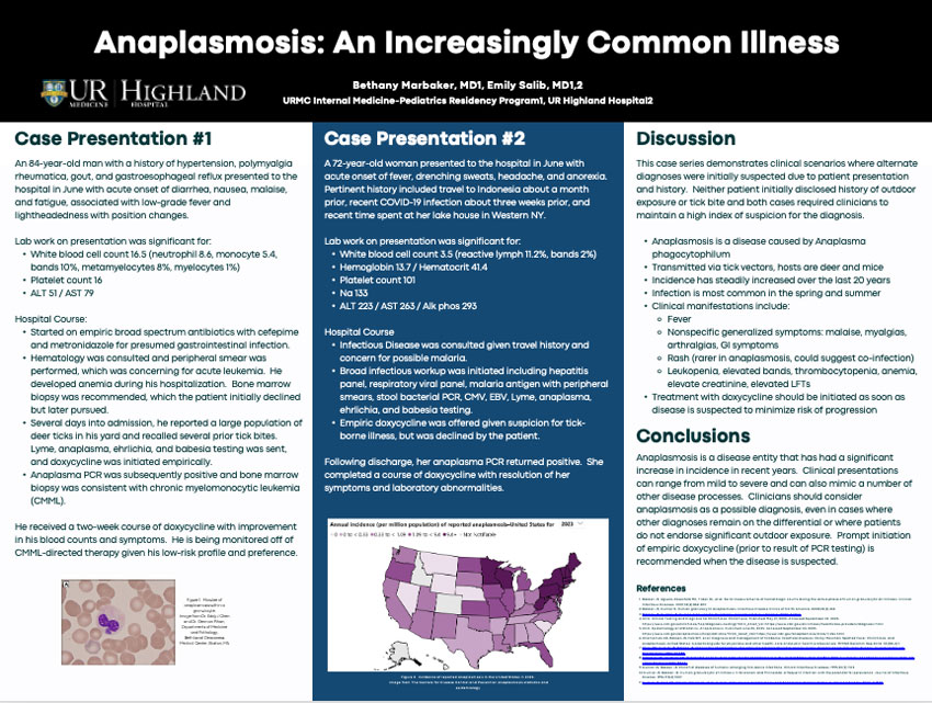 Screen capture of Dr. Marbakers's poster