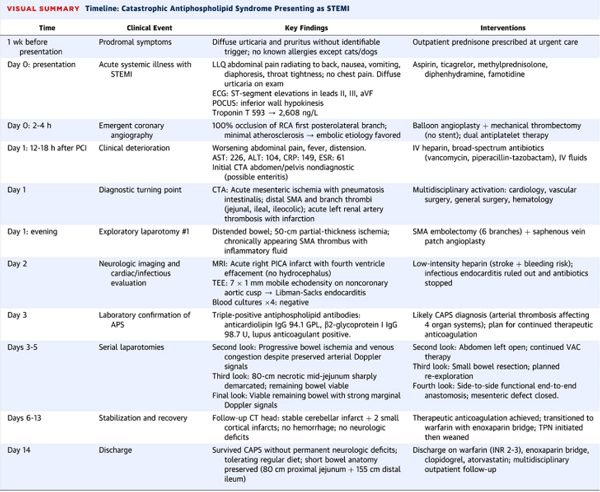 Timeline demonstrating rapid progression from initial urticaria to multiorgan arterial thrombosis over 14 days.