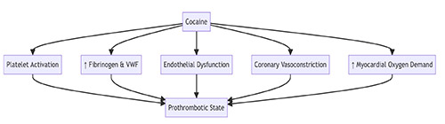 Flow chart illustrating course of cocaine via platelet activation, fibrogen & VWF, endothelial dysfunction, coronary vasoconstriction, and myocardial oxygen demand, leading to prothrombotic state.