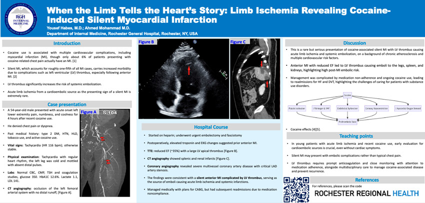 Screen capture of Dr. Habes's poster