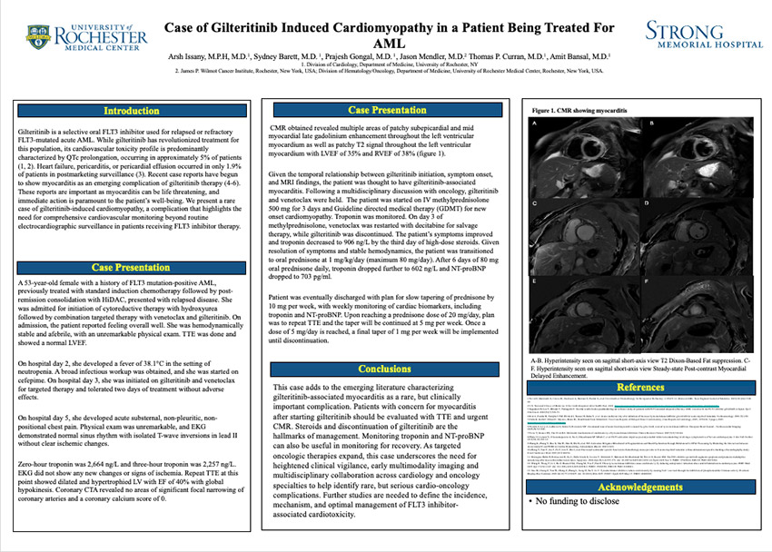 Screen capture of Dr. Issany's poster