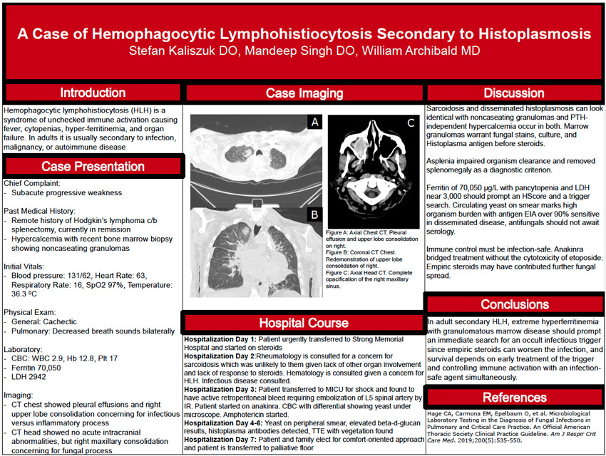 Screen capture of Dr. Singh's poster
