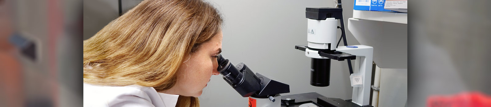 Our researchers are bringing discoveries from bench to bedside