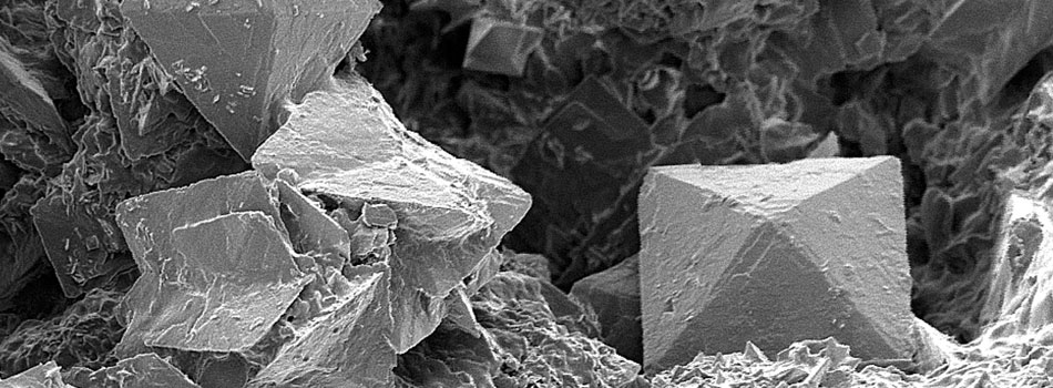 Calcium oxalate kidney stones made by our genetic hypercalciuric stone forming rats