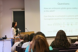 Attending a presentation
