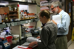 Researchers working at the bench
