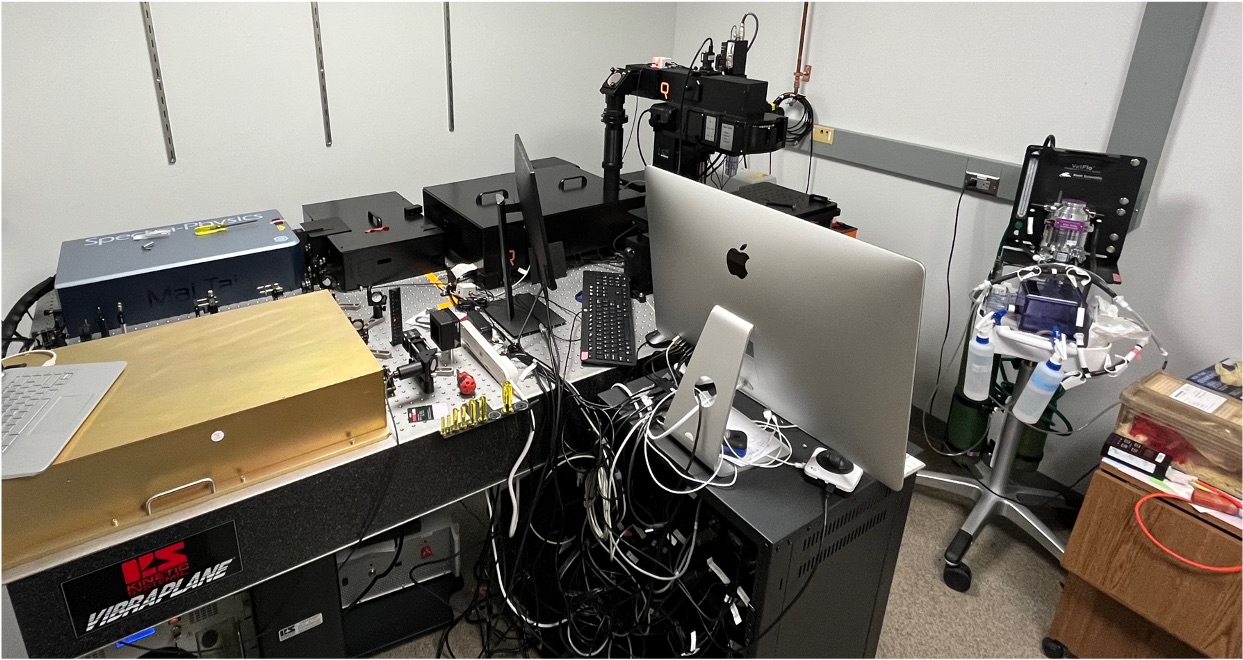 IVM Lab