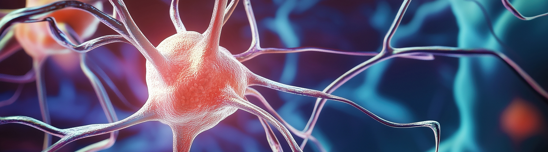 Colorful closeup of brain neurons