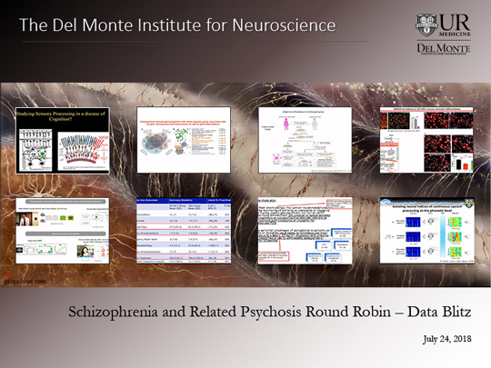 Opening image from RCBI Round Robin Talks: Schizophrenia