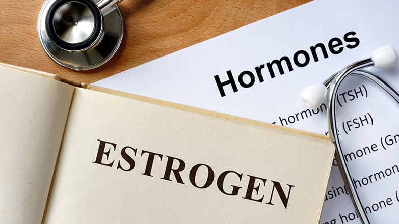 estrogen image