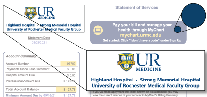 Blue Statement for Strong Memorial Hospital, Highland Hospital, Professional Services