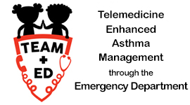TEAM ED Logo