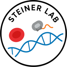 Steiner Lab