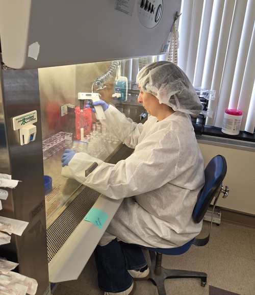Researcher