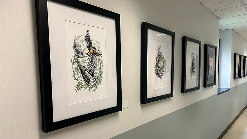 Framed artwork along a hallway