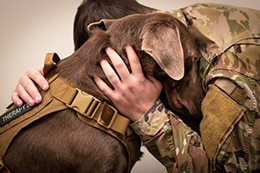 Soldier with Therapy Service Dog