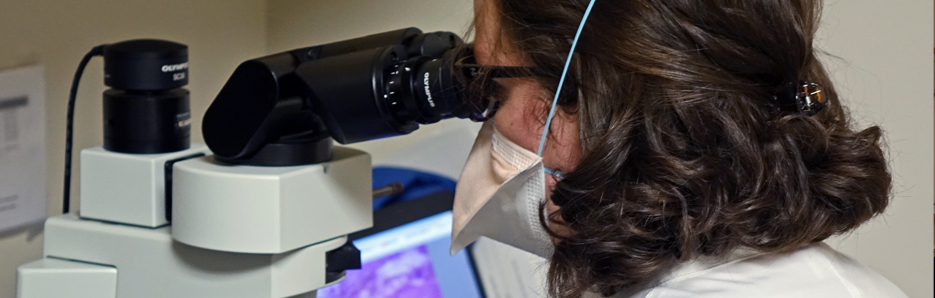 Examining lung biopsy at the microscope