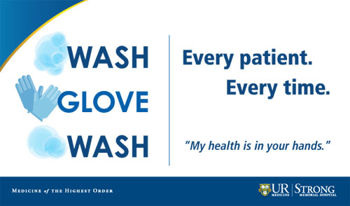 wash glove wash