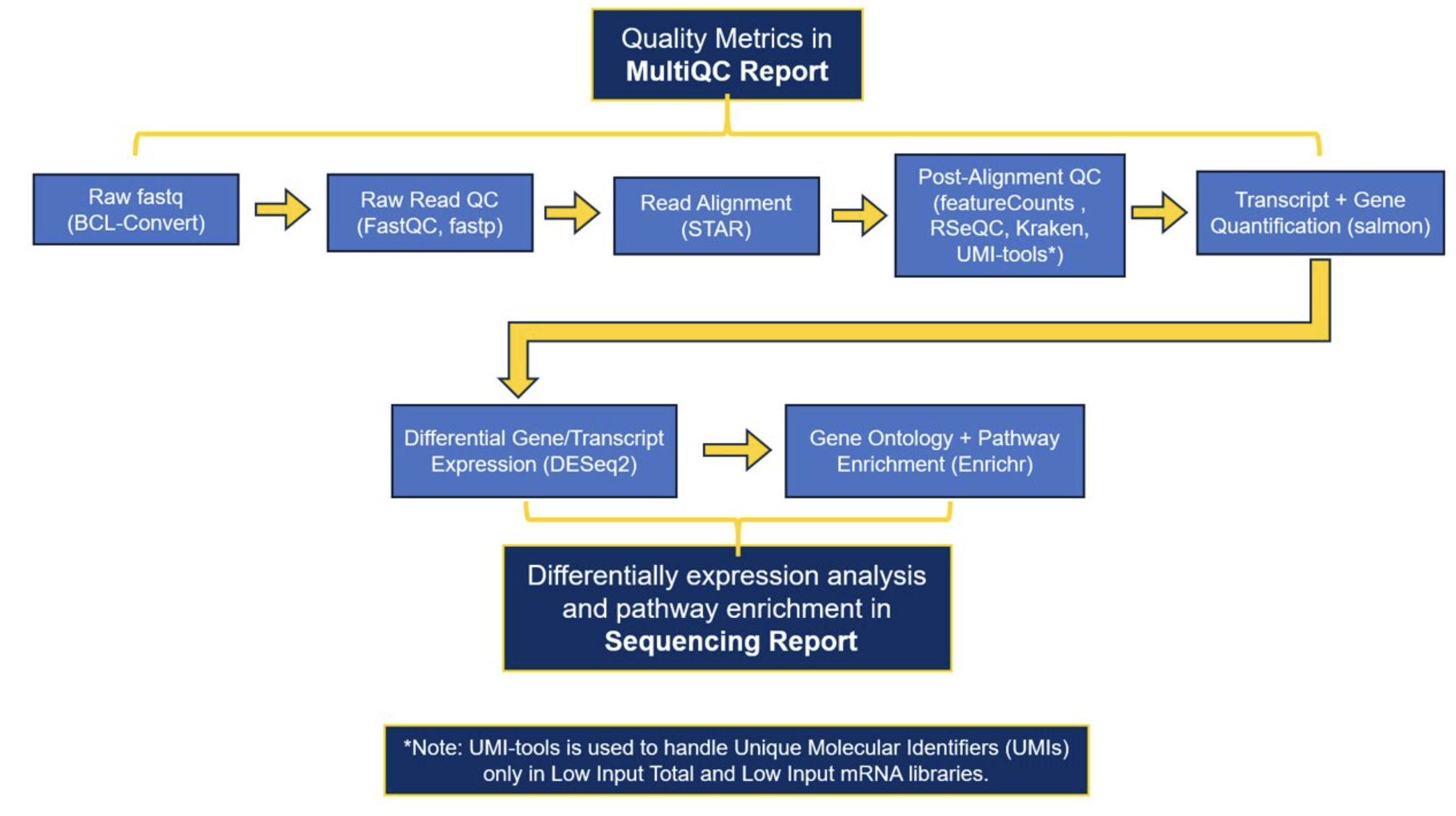 This diagram illustrates the bulk RNA-seq processing workflow used by the Genomics Research Center Informatics team, which leverages the nf-core bulk RNA-seq pipeline. The process begins with raw FASTQ file generation (BCL-convert), followed by raw read quality control (FastQC, fastp). Reads are then aligned to a reference genome (STAR), and post-alignment quality control is performed using tools such as featureCounts, RSeQC, Kraken, and optionally UMI-tools for low-input libraries. Transcript and gene quantification is carried out using salmon. Outputs from these steps are compiled into a MultiQC report summarizing quality metrics across the workflow. ​  Downstream analysis includes differential gene and transcript expression (DESeq2), followed by gene ontology and pathway enrichment analysis (Enrichr). These results are presented in a separate sequencing report focused on differential expression and pathway insights.​  A note indicates that UMI-tools is used only for libraries with unique molecular identifiers (UMIs), such as low-input total RNA or mRNA samples.​  ​