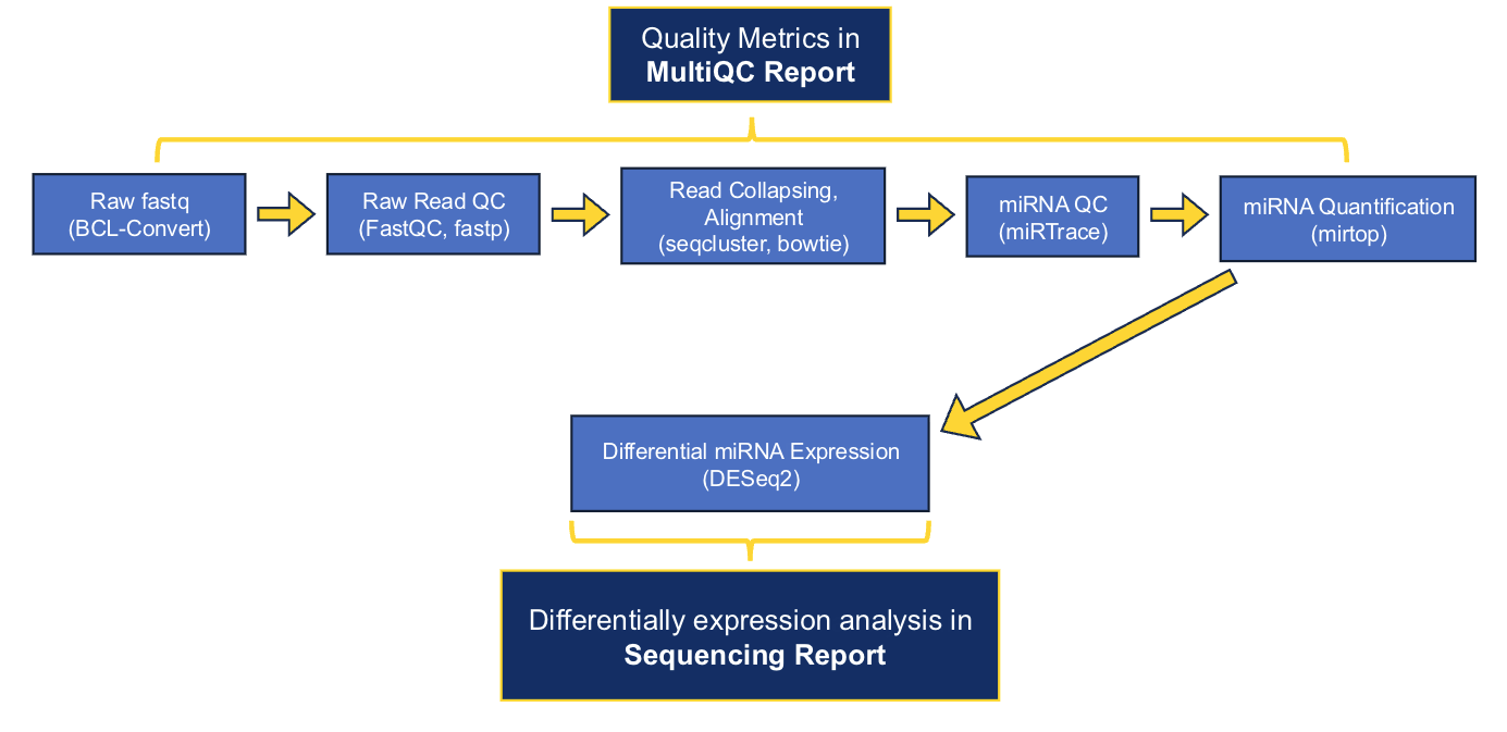 Small RNA workflow
