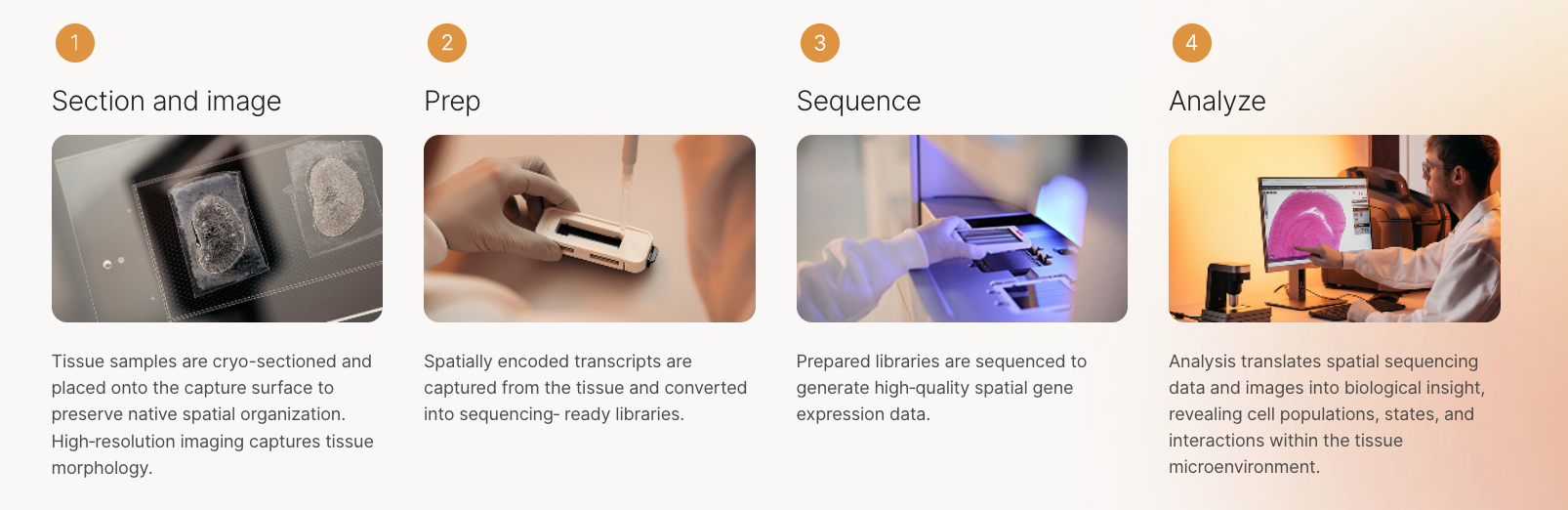 Illumina StrataMap Workflow