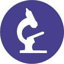microscope icon