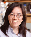 Yi-Fen Lee, Ph.D.
