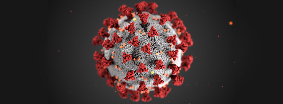 Illustration from the Centers for Disease Control and Prevention showing signature spike proteins on the surface of coronovirus.