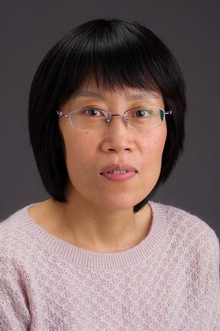Ying Wang, M.D., Ph.D.