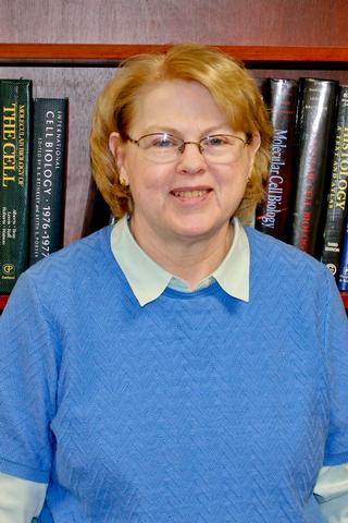 Linda Marie Callahan, Ph.D.