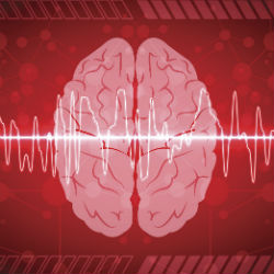 Spike Patterns May Help Identify Networks Generating Epileptic Seizures