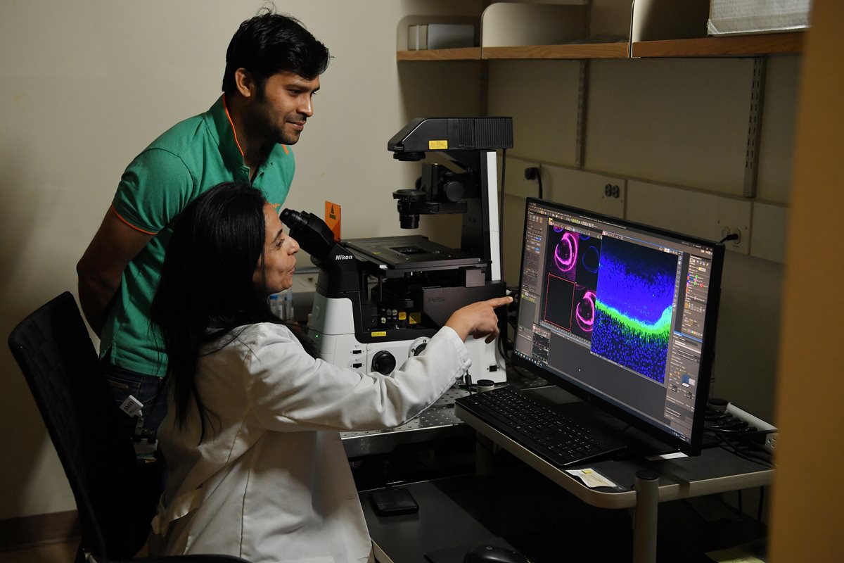 New NIH-Funded Project Targets Early Drivers of Vision Loss in Macular Degeneration